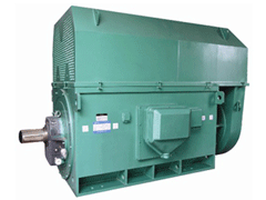 义安Y系列6KV高压电机